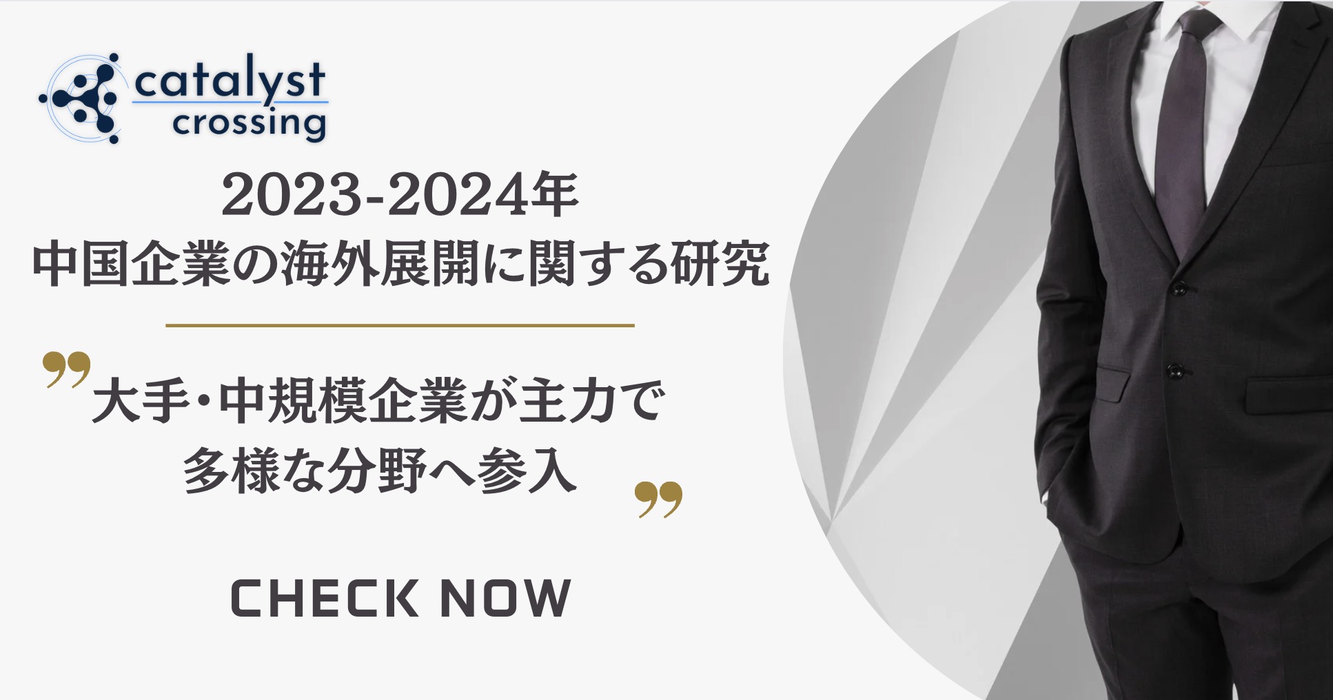 2023-2024年中国企業の海外展開に関する研究：大手・中規模企業が主力、多様な分野へ参入